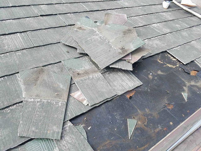 露出した防水シート